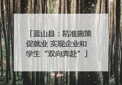 蓝山县：精准施策促就业 实现企业和学生“双向奔赴”