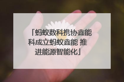 蚂蚁数科携协鑫能科成立蚂蚁鑫能 推进能源智能化