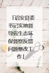 诏安县委书记实地督导省生态环保督察反馈问题整改工作