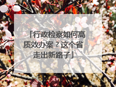 行政检察如何高质效办案？这个省走出新路子
