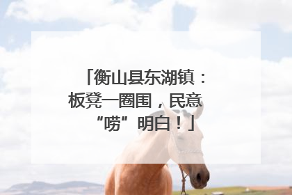 衡山县东湖镇：板凳一圈围，民意“唠”明白！