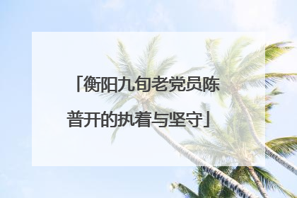 衡阳九旬老党员陈普开的执着与坚守