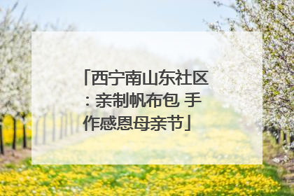 西宁南山东社区：亲制帆布包 手作感恩母亲节