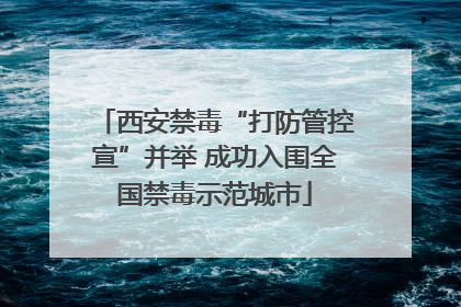 西安禁毒“打防管控宣”并举 成功入围全国禁毒示范城市