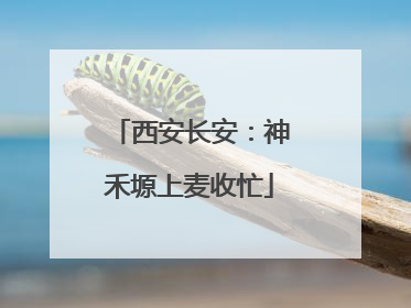 西安长安：神禾塬上麦收忙