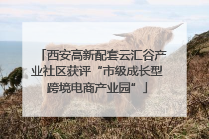 西安高新配套云汇谷产业社区获评“市级成长型跨境电商产业园”