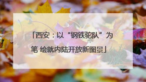 西安：以“钢铁驼队”为笔 绘就内陆开放新图景