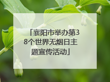 襄阳市举办第38个世界无烟日主题宣传活动