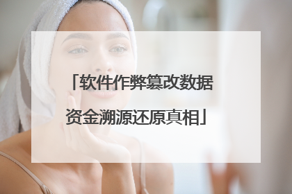 软件作弊篡改数据 资金溯源还原真相