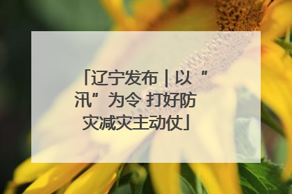 辽宁发布｜以“汛”为令 打好防灾减灾主动仗