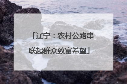 辽宁：农村公路串联起群众致富希望
