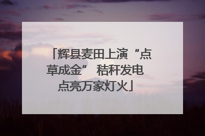 辉县麦田上演“点草成金” 秸秆发电点亮万家灯火
