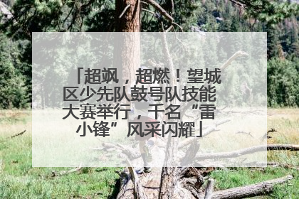 超飒，超燃！望城区少先队鼓号队技能大赛举行，千名“雷小锋”风采闪耀