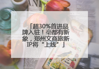 超30%首进品牌入驻！亳都有新象，郑州文商旅新IP将“上线”