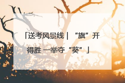 送考风景线｜“旗”开得胜 一举夺“葵”
