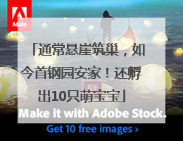 通常悬崖筑巢，如今首钢园安家！还孵出10只萌宝宝