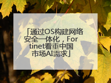 通过OS构建网络安全一体化，Fortinet看重中国市场AI需求