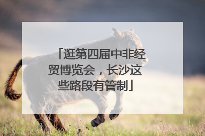 逛第四届中非经贸博览会，长沙这些路段有管制