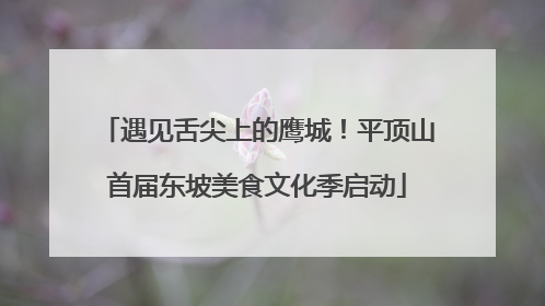 遇见舌尖上的鹰城！平顶山首届东坡美食文化季启动