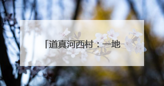 道真河西村：一地双收“新丰景”