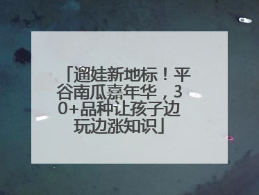 遛娃新地标！平谷南瓜嘉年华，30+品种让孩子边玩边涨知识