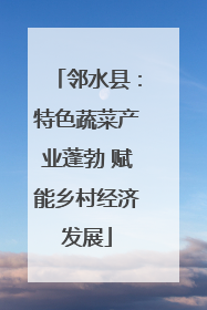 邻水县：特色蔬菜产业蓬勃 赋能乡村经济发展
