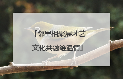 邻里相聚展才艺 文化共融绘温情