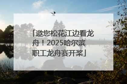 邀您松花江边看龙舟！2025哈尔滨职工龙舟赛开桨