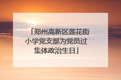 郑州高新区莲花街小学党支部为党员过集体政治生日