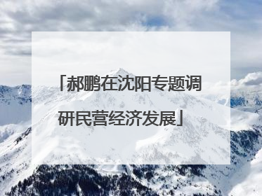 郝鹏在沈阳专题调研民营经济发展