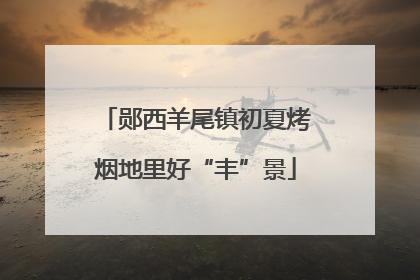 郧西羊尾镇初夏烤烟地里好“丰”景