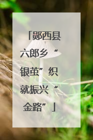 郧西县六郎乡“银茧”织就振兴“金路”