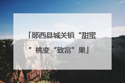 郧西县城关镇“甜蜜”桃变“致富”果