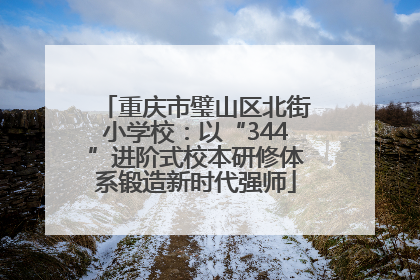 重庆市璧山区北街小学校：以“344”进阶式校本研修体系锻造新时代强师