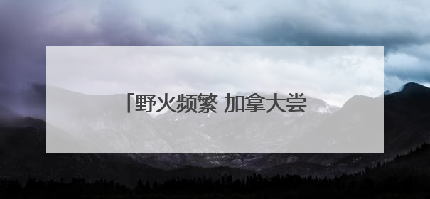野火频繁 加拿大尝试新型撒种造林法