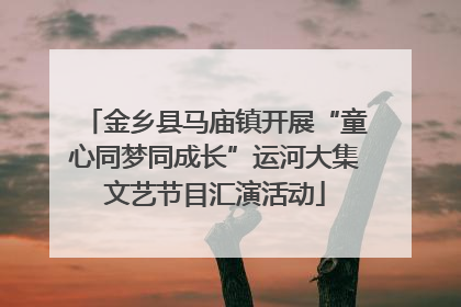 金乡县马庙镇开展“童心同梦同成长”运河大集文艺节目汇演活动