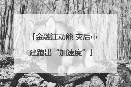 金融注动能 灾后重建跑出“加速度”