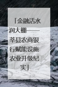金融活水润大棚——莘县农商银行赋能设施农业升级纪实
