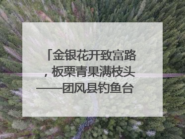 金银花开致富路，板栗青果满枝头——团风县钓鱼台村“山水生金”谱写共富新篇章