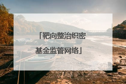 靶向整治织密基金监管网络