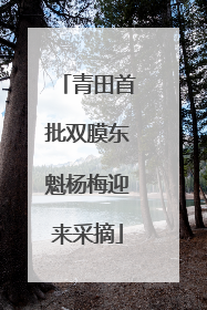 青田首批双膜东魁杨梅迎来采摘
