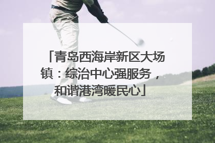 青岛西海岸新区大场镇：综治中心强服务，和谐港湾暖民心