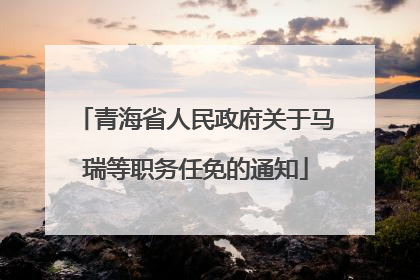 青海省人民政府关于马瑞等职务任免的通知