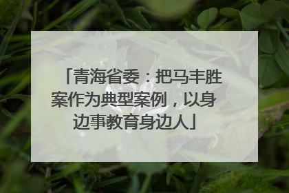 青海省委：把马丰胜案作为典型案例，以身边事教育身边人