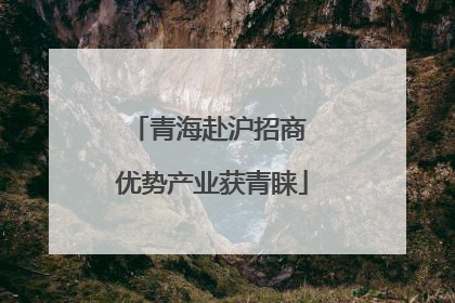 青海赴沪招商 优势产业获青睐