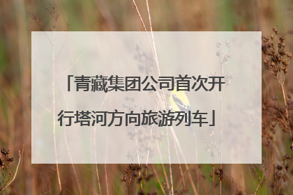青藏集团公司首次开行塔河方向旅游列车