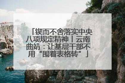 锲而不舍落实中央八项规定精神丨云南曲靖：让基层干部不用“围着表格转”
