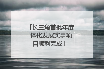 长三角首批年度一体化发展实事项目顺利完成