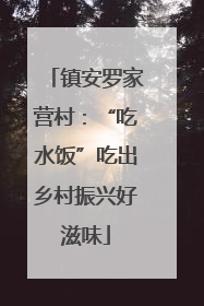 镇安罗家营村：“吃水饭”吃出乡村振兴好滋味