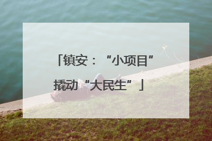 镇安：“小项目”撬动“大民生”
